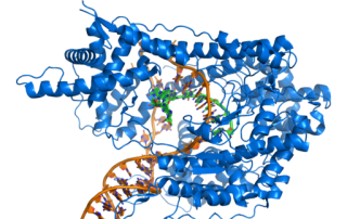 genética e acupuntura
