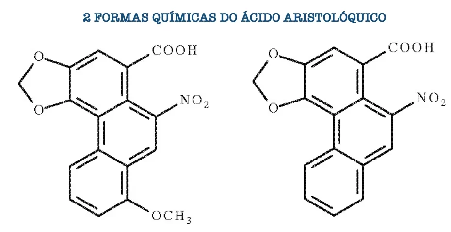 ácido aristolóquico