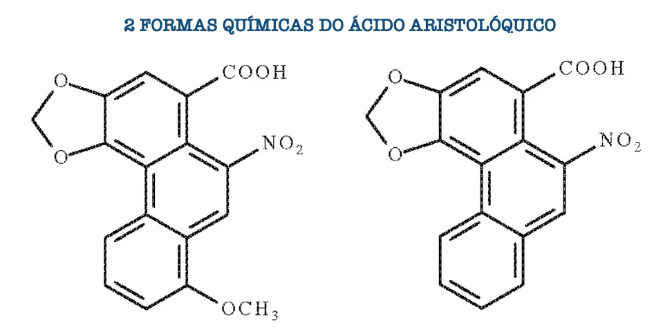 ácido aristolóquico